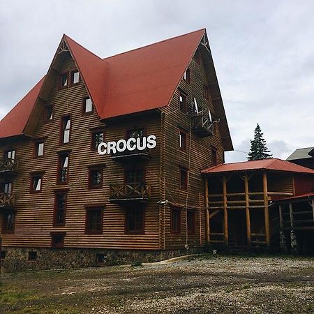 Crocus Hotell Dragobrat Exteriör bild